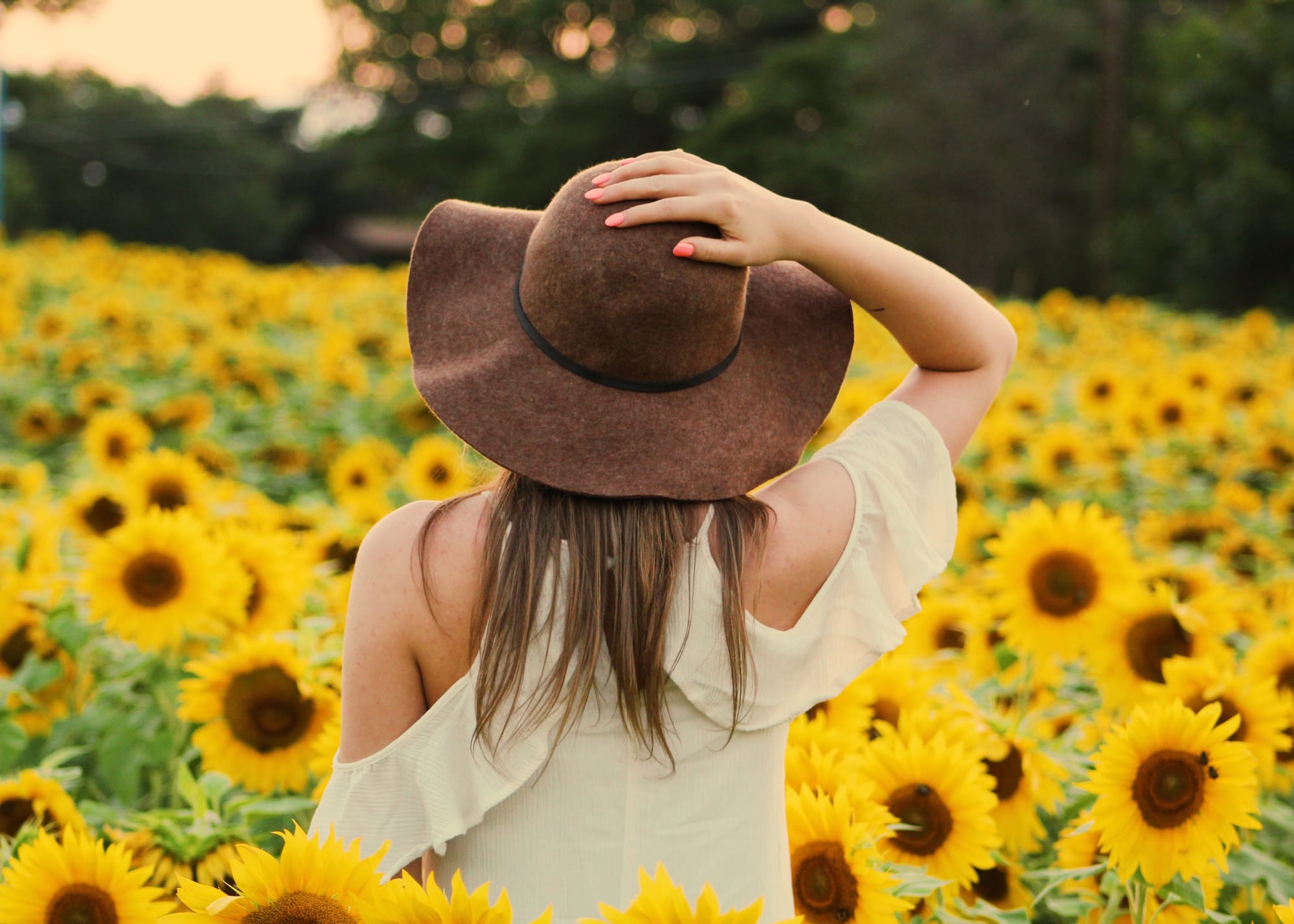 Sunflower Shower Curtain 