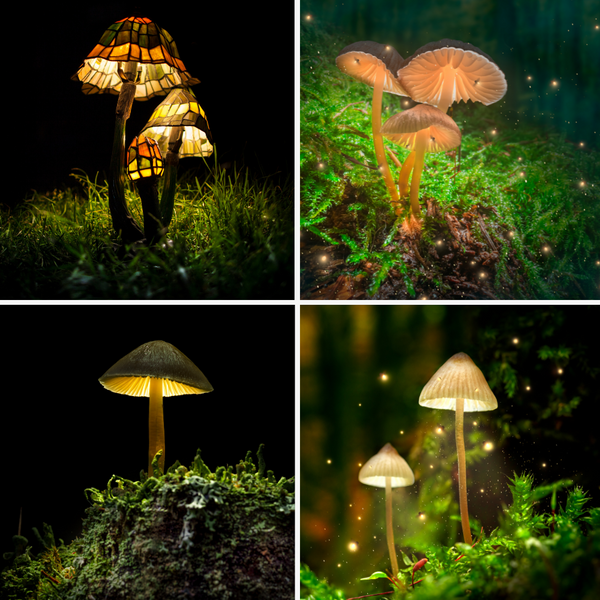 Mushroom Magic: A Review of 5 Outdoor Mushroom Lamps For Your Garden.