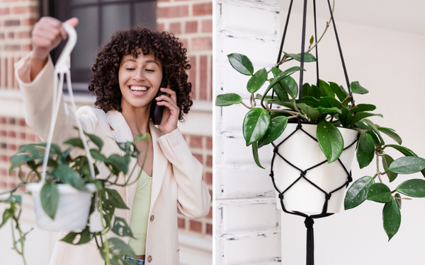 What Are the Three Types of Hanging Planters for Your Garden