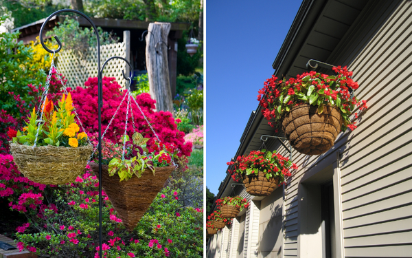 Exploring the Sky Gardens: A Chat on the Top 5  Hanging Planters Outdoor from Amazon!