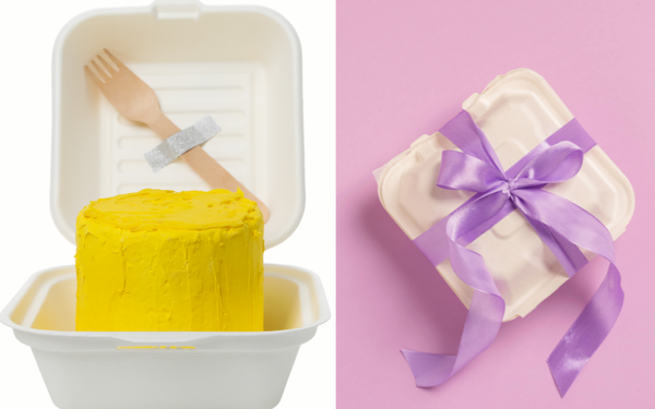 Discover What Size Are Bento Cake Boxes – The Perfect Fit for Your Sweet Creations!