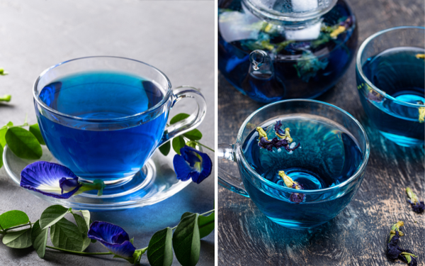 Discovering Wellness: What Is Blue Lotus Tea Good for and Its Ethereal Benefits