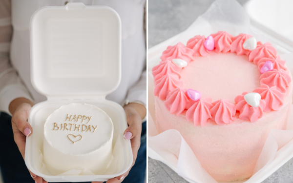 Discover What Is Special About Bento Cake: Adorable & Tasty Miniature Delights