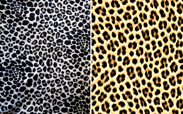 Unleash Your Wild Side: How Animal Print Wall Art Transforms Any Space into a Stylish Jungle!