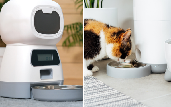 Feeding Flaws: What Are the Disadvantages of Automatic Feeders for Pets?