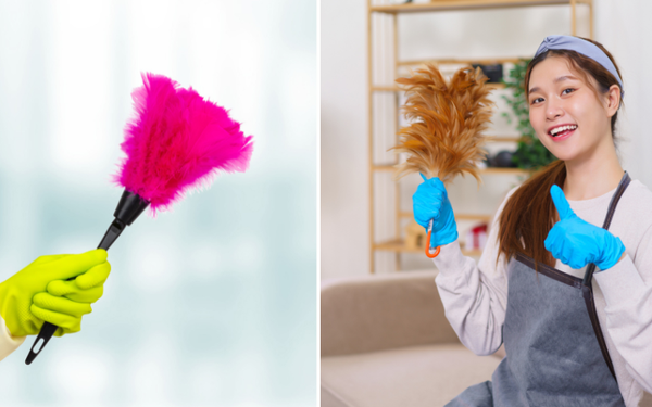 Unveil the Clean Sweep: Revolutionize Your Cleaning Routine with the Ultimate Hand Duster!