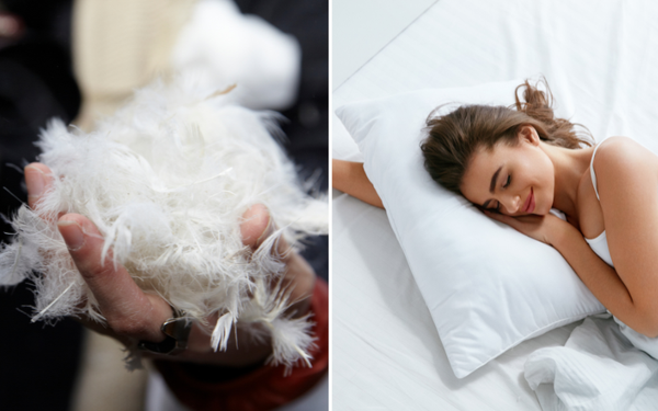Discover What Feather Pillows Are the Best in 2024: Ultimate Comfort Choices!