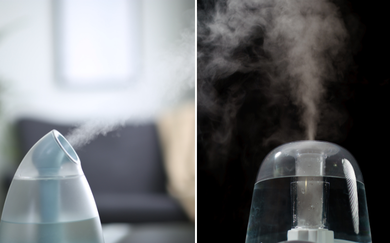 Is Warm or Cool Mist Humidifier Better for Sinuses? Unbiased Insights for Relief