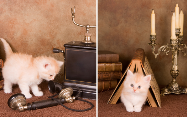 Adorable Ambiance: Light Up Your Space with Kitten Candle Holders