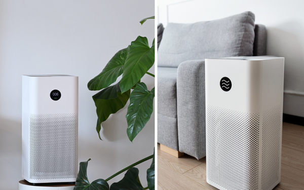 Breathe Easy: Discover the Best Air Purifiers for Large Rooms!